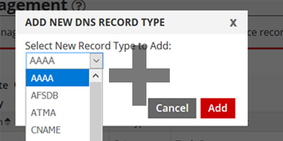 24 DNS Record Types Supported