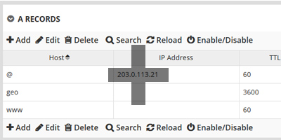 Intuitive DNS Hosting Interface